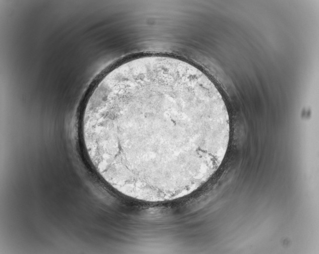 X0000102000584200808151449