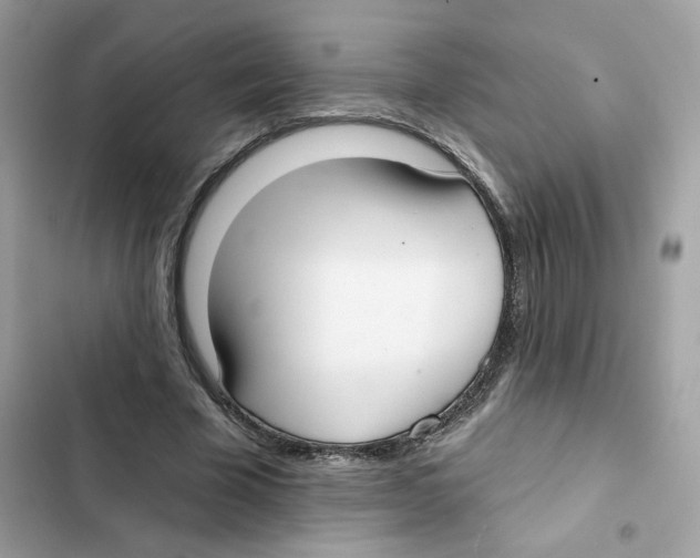 X0000102000585200808151449