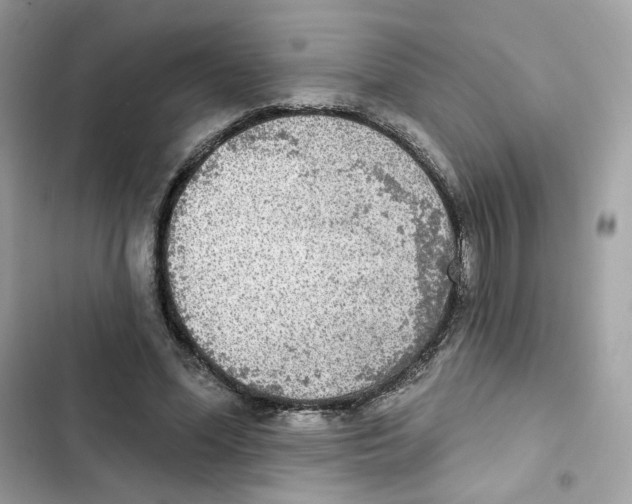 X0000102000588200808151449