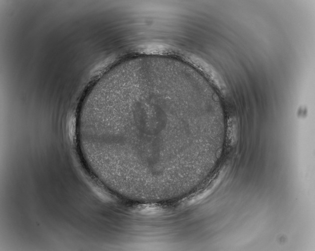 X0000102000589200808151449