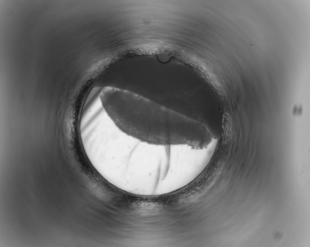 X0000102000590200808151449