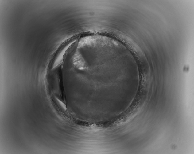 X0000102000592200808151449