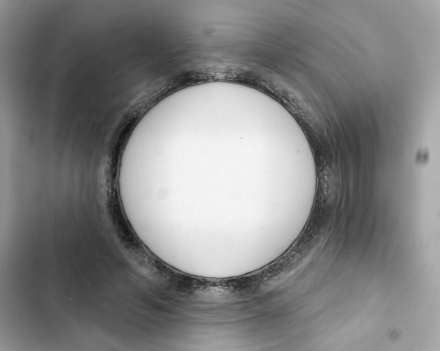 X0000102000594200808151449