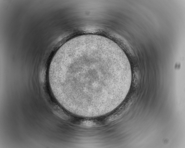 X0000102000596200808151449