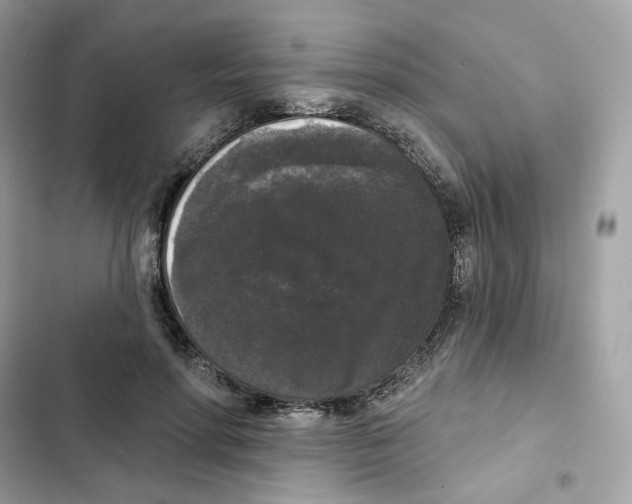 X0000102000598200808151449