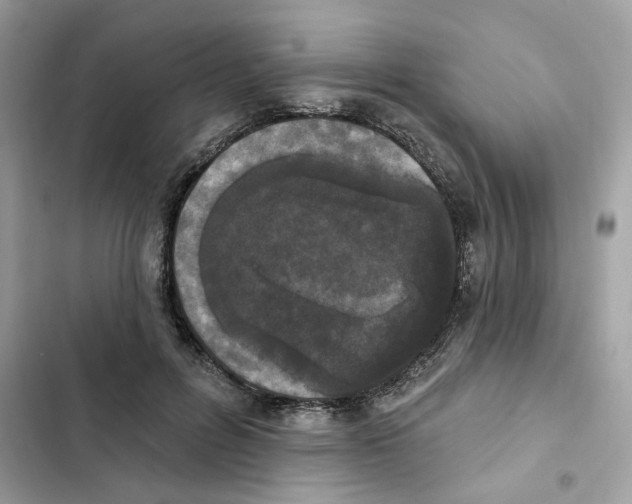 X0000102000600200808151449