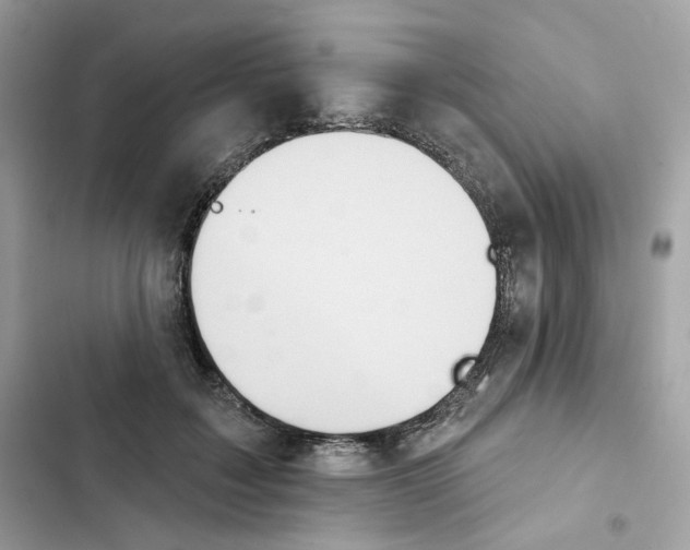 X0000102000603200808151449