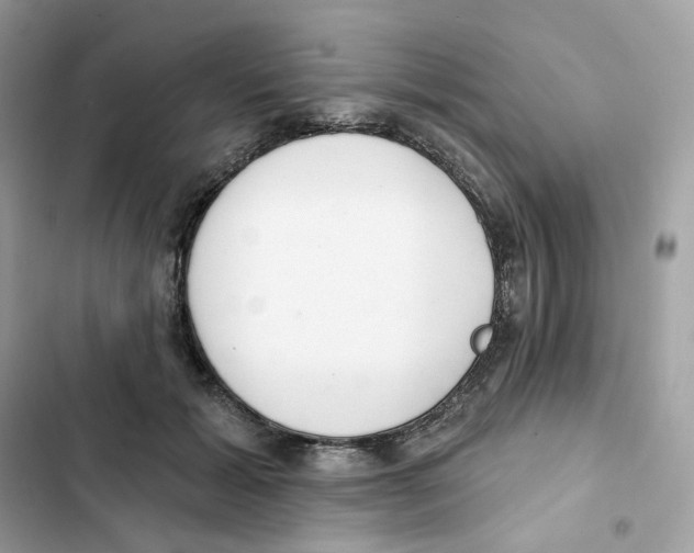 X0000102000605200808151449