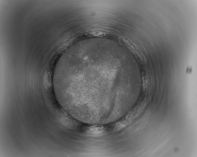 X0000102000606200808151449