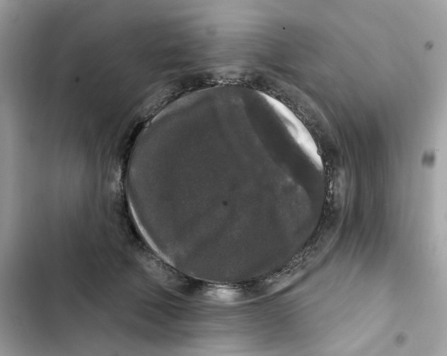 X0000102000610200808151449