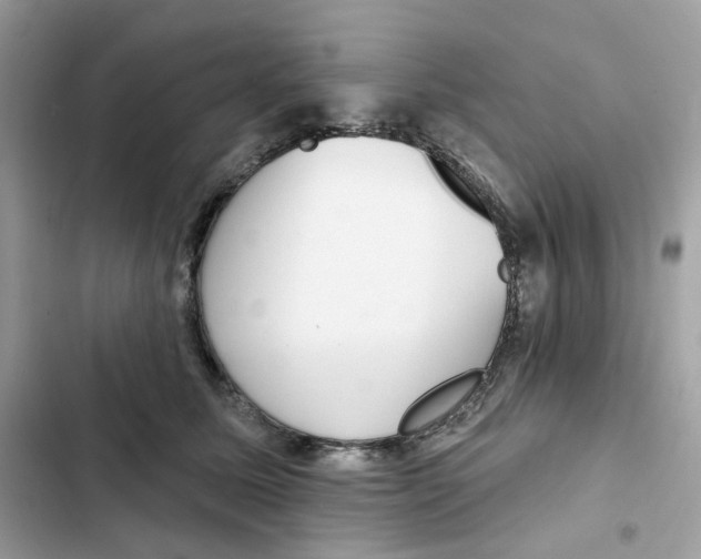 X0000102000611200808151449