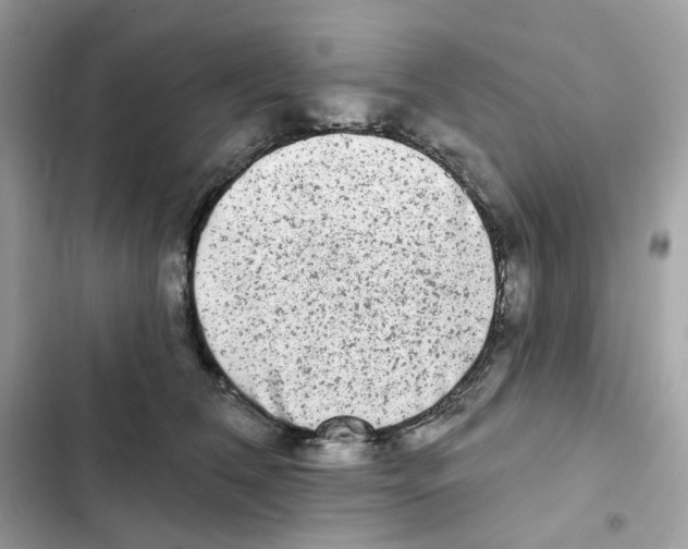 X0000102000612200808151449