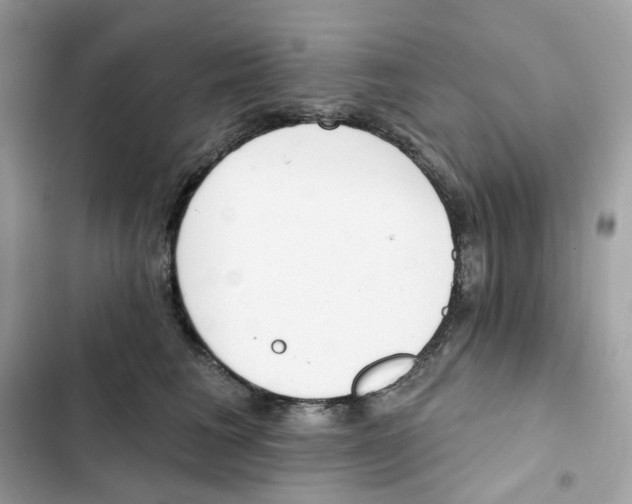 X0000102000613200808151449