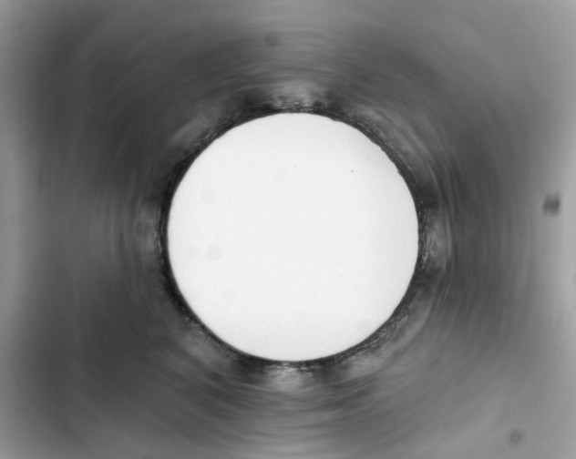 X0000102000616200808151448