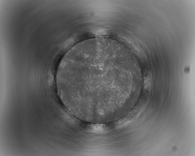 X0000102000618200808151448