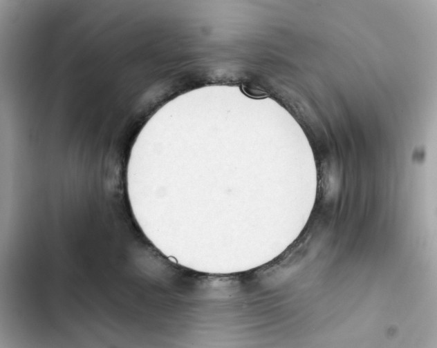 X0000102000619200808151448