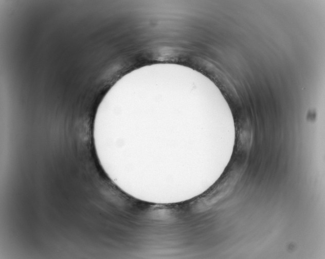 X0000102000620200808151448