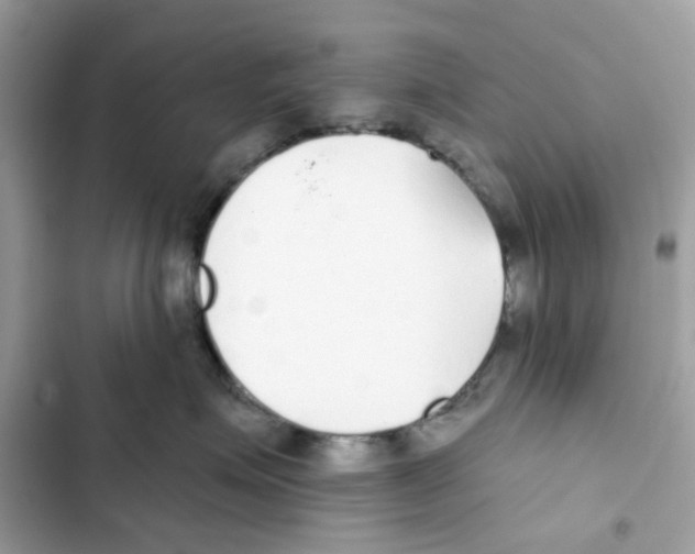 X0000102000623200808151448