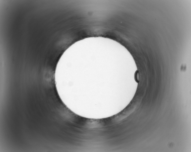 X0000102000624200808151448