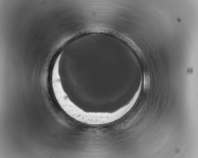 X0000102000627200808151448