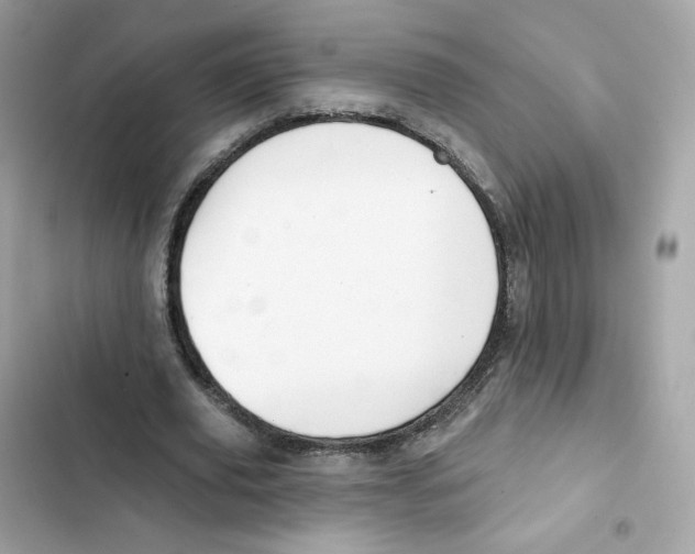 X0000102000629200808151448