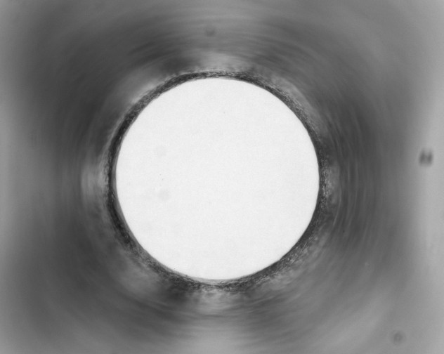 X0000102000632200808151448