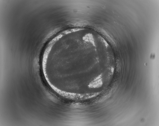 X0000102000634200808151448