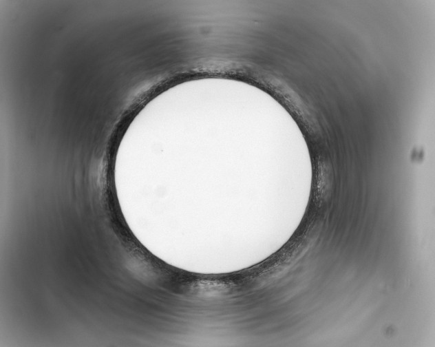 X0000102000636200808151448