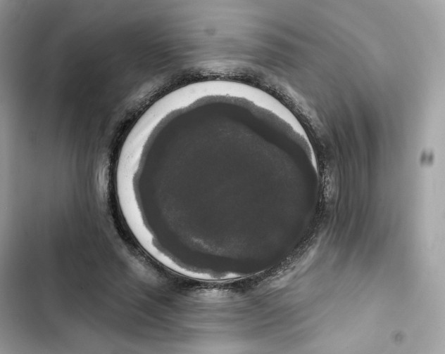 X0000102000637200808151448