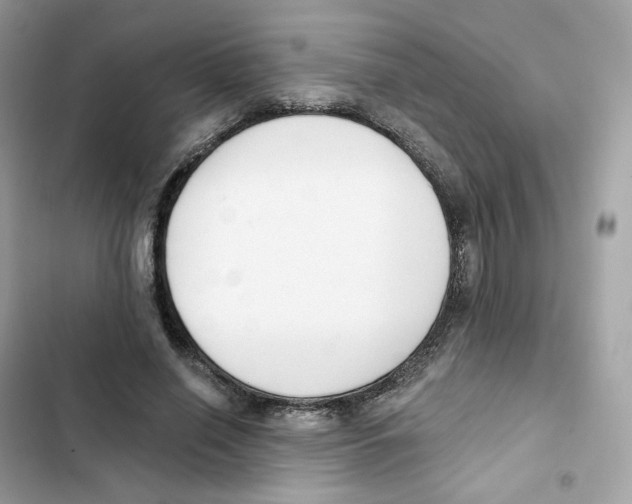 X0000102000638200808151448