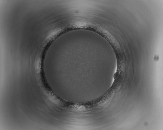 X0000102000640200808151448