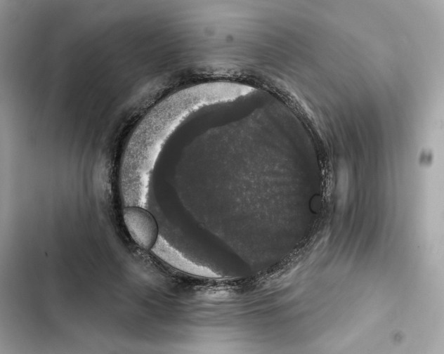 X0000102000643200808151448