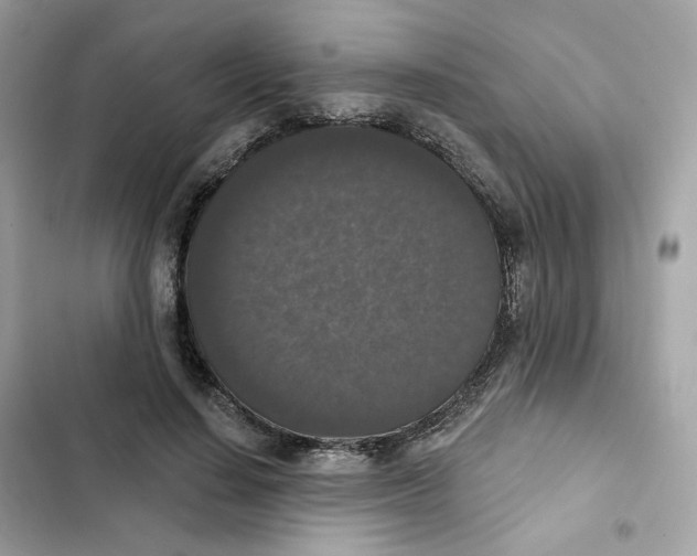 X0000102000644200808151448