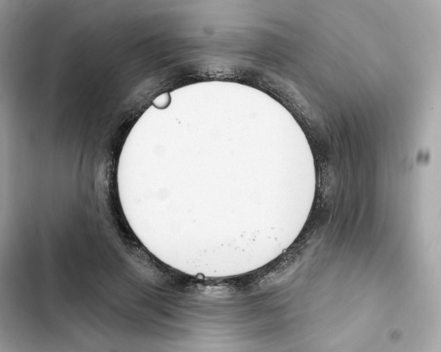 X0000102000645200808151448