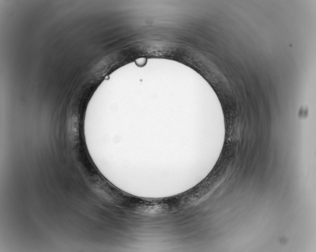 X0000102000646200808151448