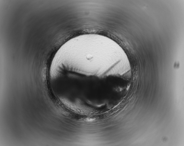 X0000102000647200808151448