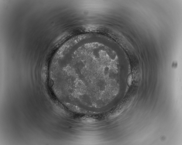 X0000102000648200808151448