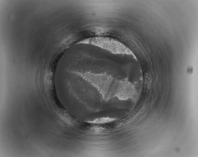 X0000102000650200808151448