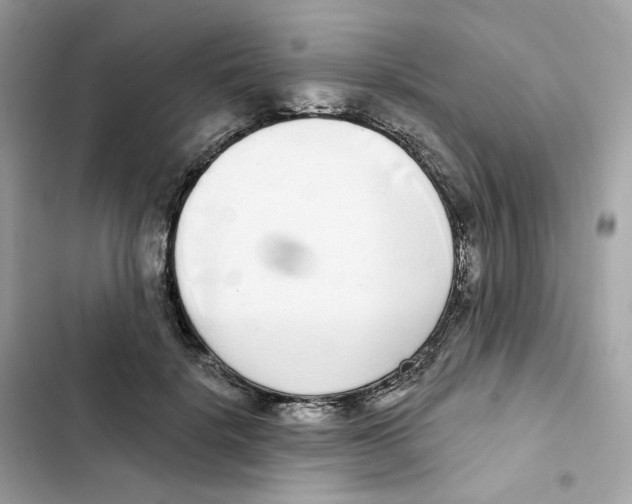 X0000102000652200808151448