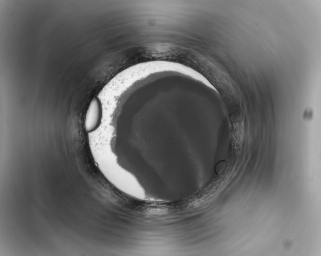 X0000102000653200808151448