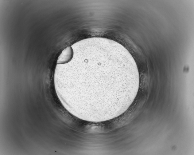 X0000102000655200808151448