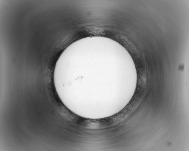 X0000102000658200808151448