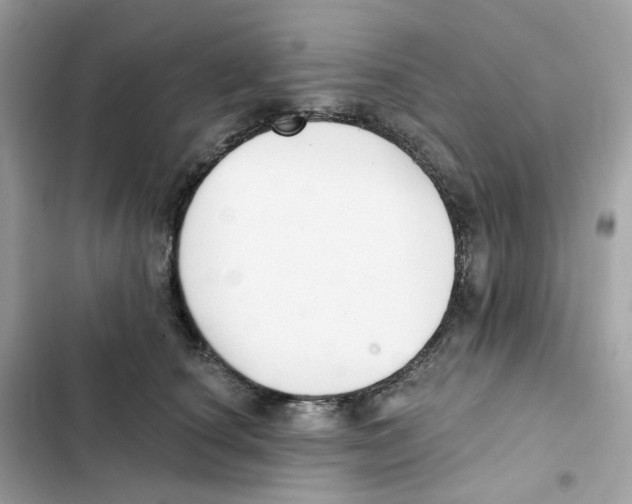 X0000102000660200808151448