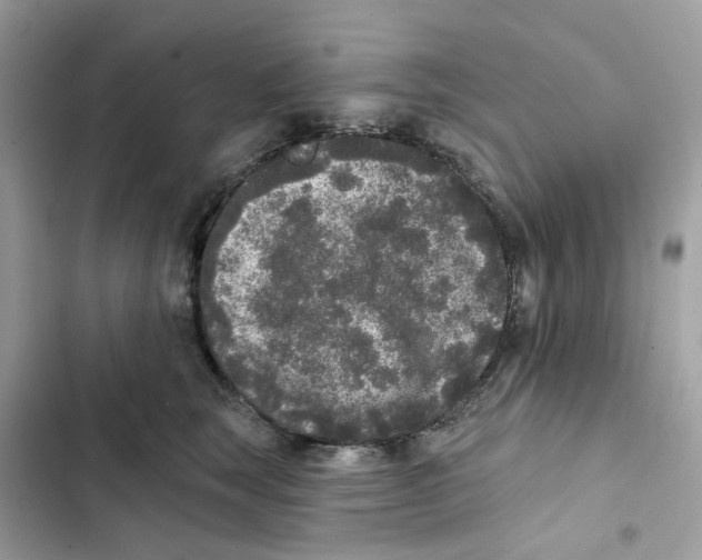 X0000102000663200808151448