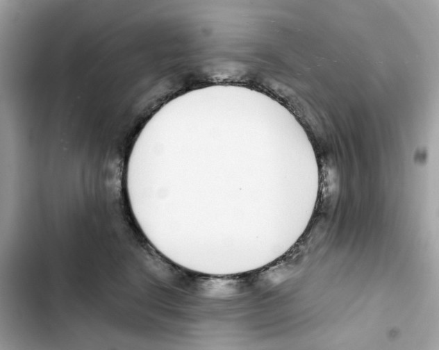 X0000102000664200808151448