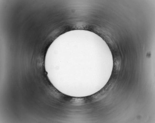 X0000102000665200808151448