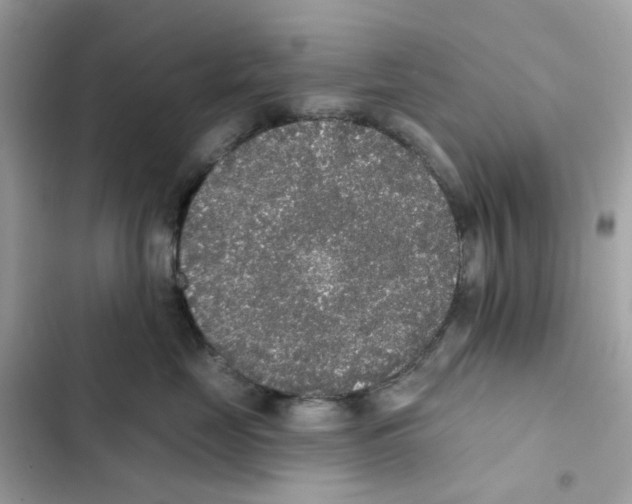 X0000102000669200808151448