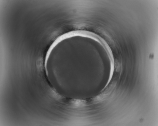 X0000102000670200808151448