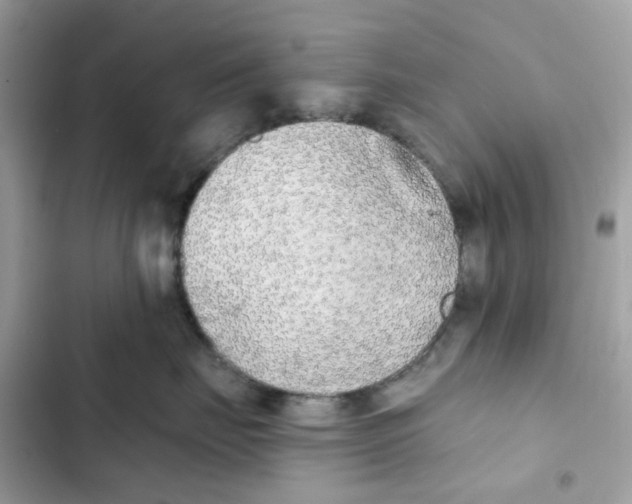 X0000102000671200808151448