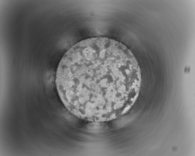 X0000102000672200808151448